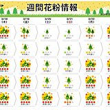 この先の花粉情報　雨上がりの週明け　非常に多く飛ぶ　万全の対策を