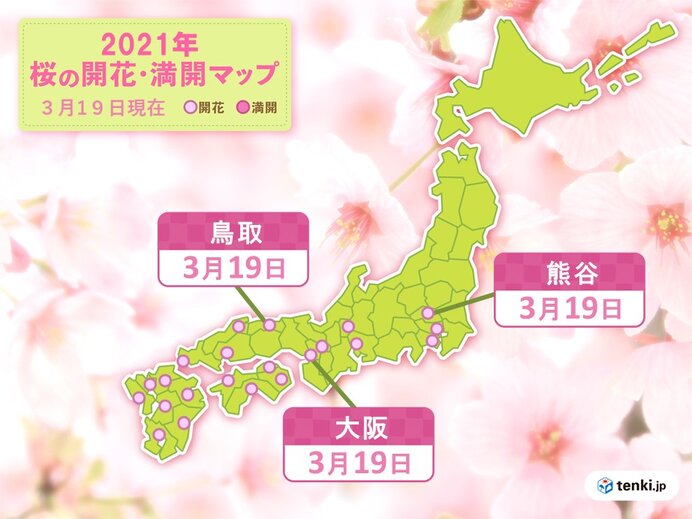 大阪など今年最も高い気温に 鳥取 大阪 熊谷で桜開花 統計史上1位も 21年3月19日 Biglobeニュース