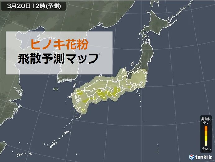 花粉　あすのポイントやピークは?　すでに予想の9割超も　いつまで飛ぶ?_画像