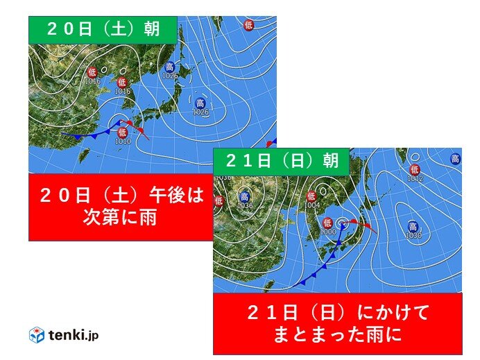 関西 大阪でさくら開花 満開はいつごろ 日直予報士 21年03月19日 日本気象協会 Tenki Jp