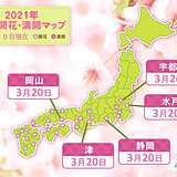 津で過去最早　岡山も統計1位に並ぶ記録的に早い開花