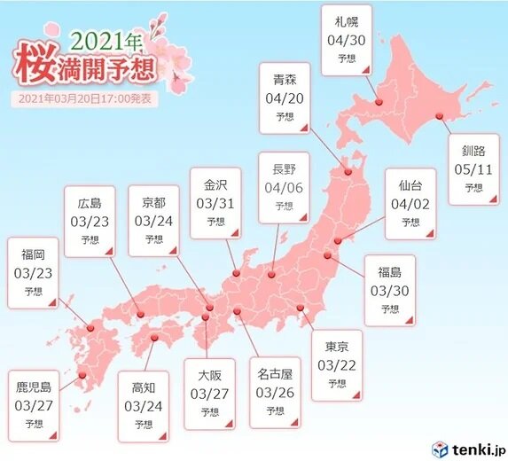 平年より早い桜の季節　福岡や東京など満開間近