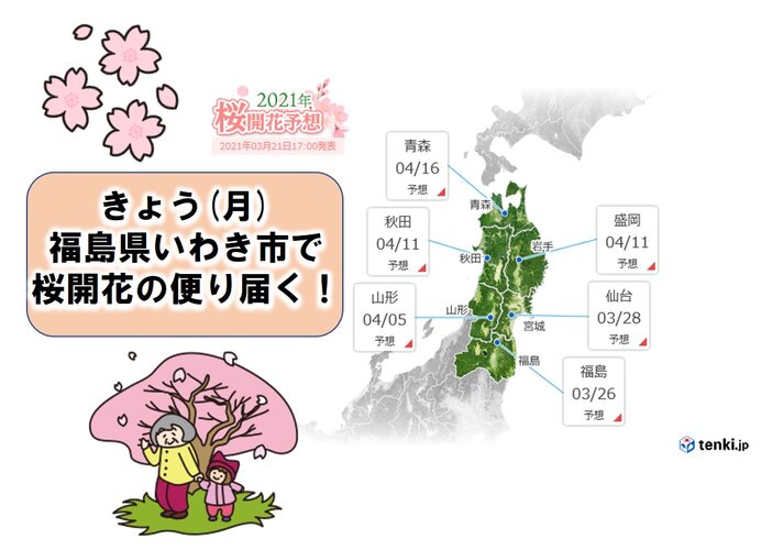 桜前線は早くも東北へ　福島県いわき市で桜開花の便り届く