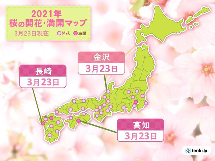 桜の開花進む　長崎、高知で満開　金沢でも開花　統計開始以来1位の早さも