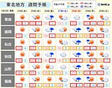 東北　24日から桜の開花が進む暖かさ