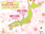 富山・神戸で桜開花　富山は統計開始以来最も早い