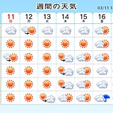 週半ば初夏の陽気　スギ花粉ピークへ