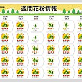 26日は九州～東北で「非常に多い」　ヒノキ花粉がピークの所も　週末はどうなる?