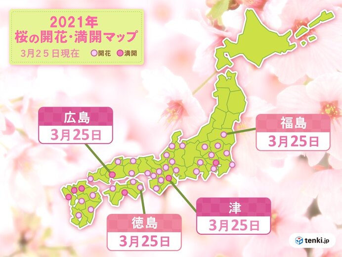 桜が次々と開花 満開 福島は統計開始以来もっとも早い開花 広島は満開まで2週間も 日直予報士 21年03月25日 日本気象協会 Tenki Jp