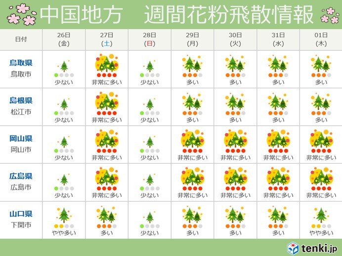 中国地方　ヒノキ花粉飛散の最盛期到来