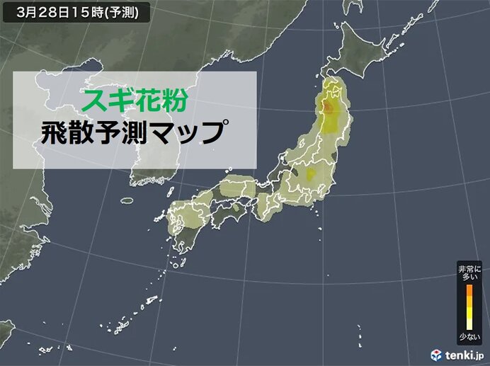 今年の花粉対策はいつまで この先1週間 非常に多い 予想 4月もヒノキがピーク 気象予報士 望月 圭子 21年03月28日 日本気象協会 Tenki Jp