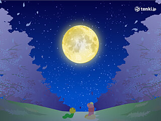 3月の満月は「ワームムーン」　今夜もほぼ満月　広く観測のチャンス