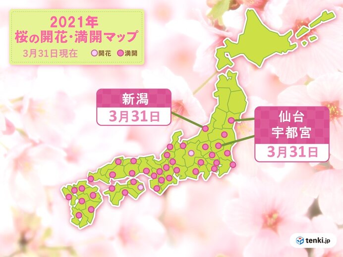 桜の開花も進む