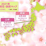 桜前線　東北を北上中　山形では　統計開始以来最も早い満開に