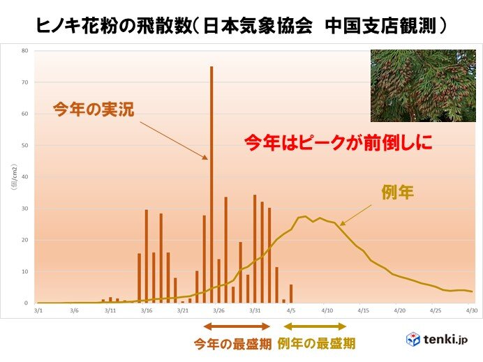 中国地方 ヒノキ花粉の飛散は終盤を迎えたか 日直予報士 21年04月06日 日本気象協会 Tenki Jp