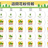 花粉　向こう一週間「非常に多い」　ピークの時期　もう少し続く