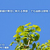 関西　晴れた日は　非常に強い　紫外線