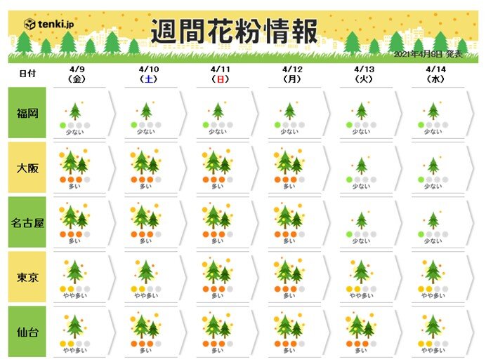 花粉シーズン終盤に　晴れて暖かい日など「多い」予想