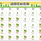 2021年の花粉シーズン出口はいつ?　ヒノキ花粉の飛散もいよいよ終盤に