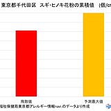 スギ・ヒノキ花粉　予測の8割程度は飛散か　今年の花粉シーズン終了時期はいつ?