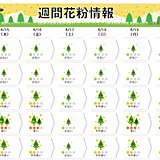 花粉　来週前半にかけて「多く」飛ぶ所も　ピーク過ぎても対策を