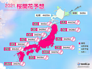2021年桜開花予想　桜前線は青森まで到達　早くも今週中には北海道で開花か