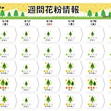 花粉シーズン　ピーク過ぎた?　来週は多く飛ぶ所も　油断しないで対策を