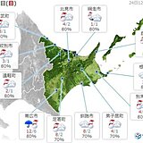 北海道　最高気温が1日で20度近く下がる　平地でも雪に