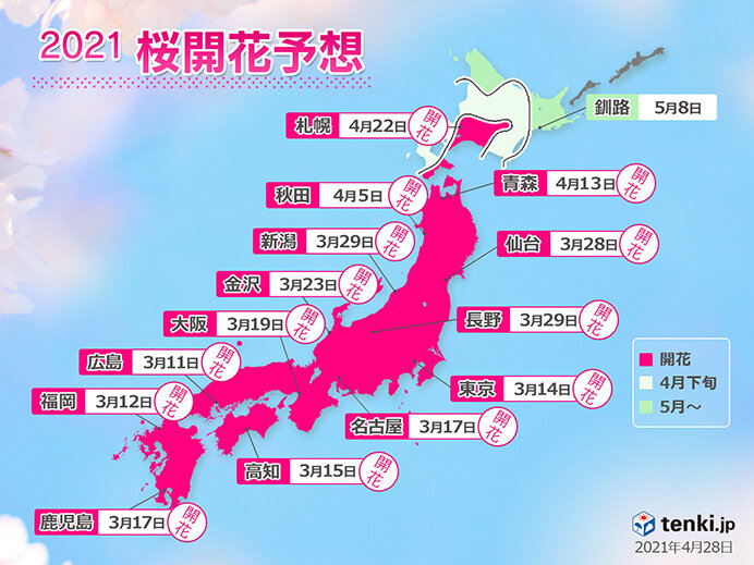 21年桜開花予想 北の大地でサクラ咲く 根室への終着も平年より早い見込み 気象予報士 福冨 里香 21年04月28日 日本気象協会 Tenki Jp