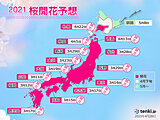 2021年桜開花予想 北の大地でサクラ咲く 根室への終着も平年より早い見込み