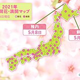 桜前線　北海道の最北に　稚内と釧路で桜開花