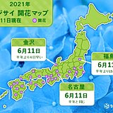 名古屋や金沢、福島でアジサイの開花　福島では統計開始以来2番目の早さ