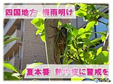 四国やっと梅雨明け　香川県で初の熱中症警戒アラートも　この先暑さに警戒を