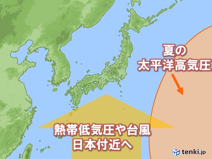 夏の太平洋高気圧に特徴が 今年はもう台風シーズンに 夏空はお盆前から安定する予想 気象予報士 白石 圭子 2021年07月20日 日本気象協会 Tenki Jp
