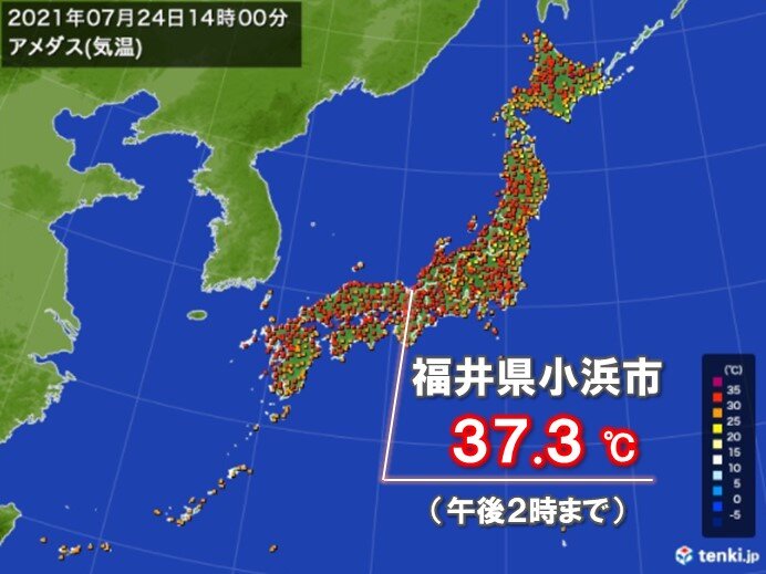 37℃超え　危険な暑さ