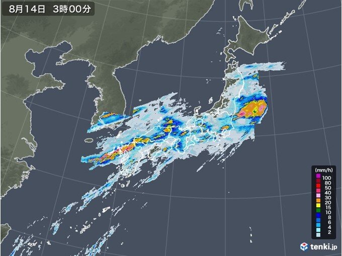 8月中旬から下旬　真夏に異例の長雨　線状降水帯発生や大雨特別警報も