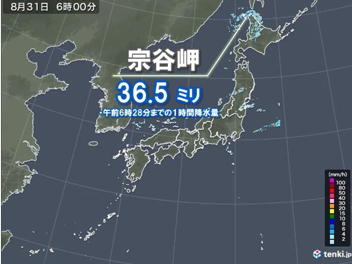 今朝は北海道で激しい雨 午後は関東の広い範囲で雨 局地的に雨雲発達 気象予報士 日直主任 2021年08月31日 日本気象協会 Tenki Jp