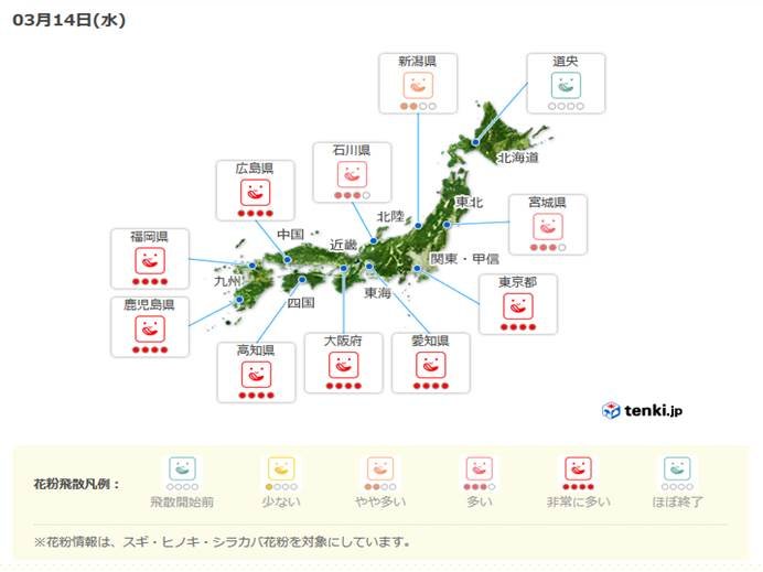 ポカポカ陽気で花粉が大量飛散!