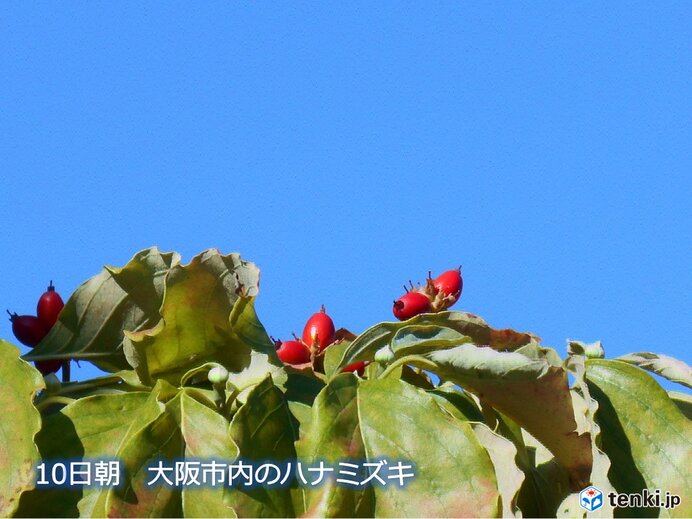 関西 けさの大阪は約1か月ぶりに快晴の朝に あす11日 土 以降の天気は 21年9月10日 Biglobeニュース