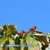 関西　けさの大阪は約1か月ぶりに快晴の朝に!　あす11日(土)以降の天気は?