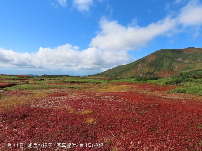 北海道の旭岳では紅葉の季節　本州でも冷える朝も　奥日光では今朝8℃まで下がる