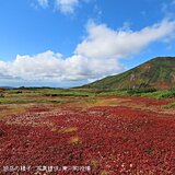 北海道の旭岳では紅葉の季節　本州でも冷える朝も　奥日光では今朝8℃まで下がる