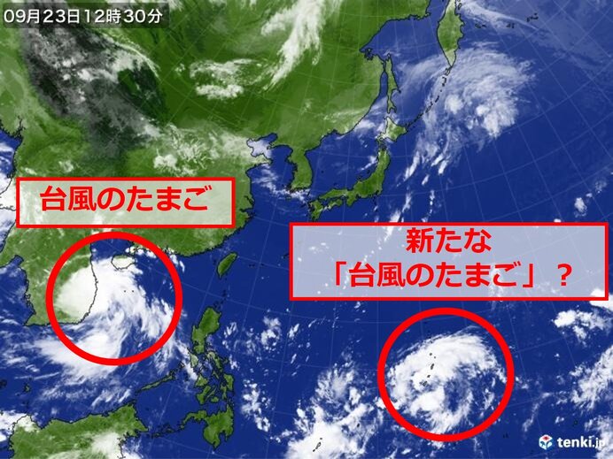 台風のたまご　次々に発生か