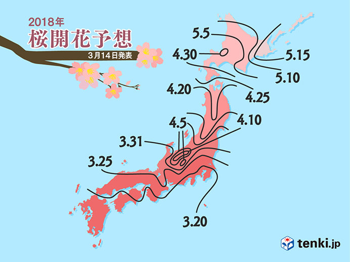 桜の開花　予想日がまた早まりました