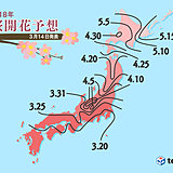 桜の開花　予想日がまた早まりました