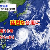 台風16号　きょう26日「猛烈な」勢力に　関東は1日(金)頃に大荒れか