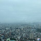 関東地方は午後も冷たい雨　本降りの時間も