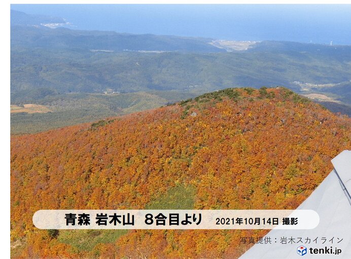 東北 土日の雨で季節が前進 山は雪と紅葉の共演も 気象予報士 関口 元朝 21年10月14日 日本気象協会 Tenki Jp