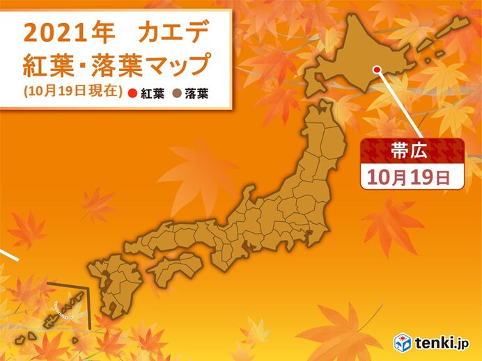 帯広でカエデ紅葉 ふもとの紅葉前線スタート 気象予報士 日直主任 21年10月19日 日本気象協会 Tenki Jp