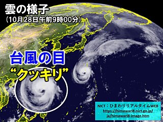 目がクッキリの台風20号　小笠原諸島はあす29日にかけ大荒れに警戒を